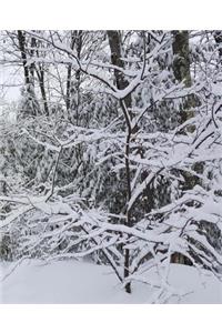 Winter School Composition Book Scenic Snowy Forest 130 Pages
