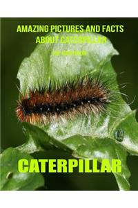 Caterpillar: Amazing Pictures and Facts about Caterpillar