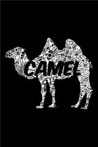 Camel