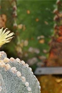 Cactus Notebook