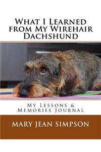 What I Learned from My Wirehair Dachshund