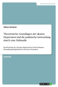 Theoretische Grundlagen der akuten Depression und die praktische Anwendung durch eine Fallstudie: Beschreibung der Störung, diagnostische Entscheidungen, Behandlungsmöglichkeiten und deren Evaluation