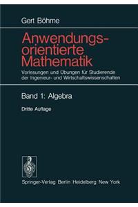 Anwendungsorientierte Mathematik: Vorlesungen Und Bungen Fur Studierende Der Ingenieur- Und Wirtschaftswissenschaften (3., Neubearb. Aufl.)