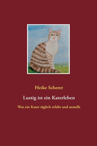 Lustig ist ein Katerleben: Was ein Kater täglich erlebt und anstellt