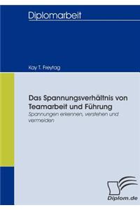 Spannungsverhältnis von Teamarbeit und Führung