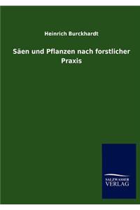 Säen und Pflanzen nach forstlicher Praxis