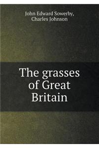 The Grasses of Great Britain
