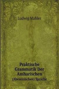 Praktische Grammatik Der Amharischen