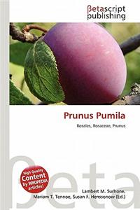 Prunus Pumila