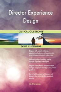 Director Experience Design Critical Questions Skills Assessment