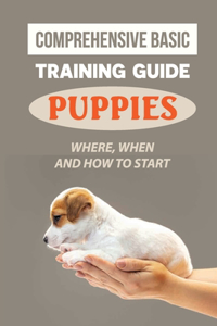 Comprehensive Basic Training Guide For Puppies