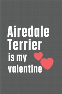 Airedale Terrier is my valentine