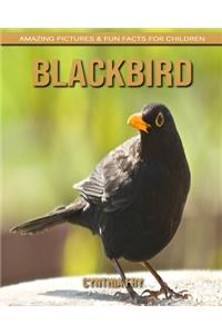 Blackbird