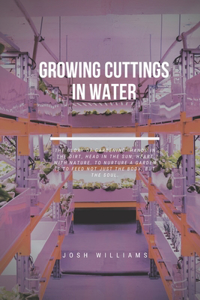 Growing Cuttings In Water