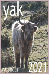 yak