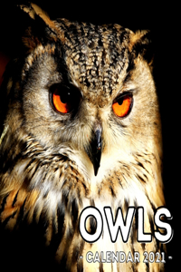 Owls Calendar 2021