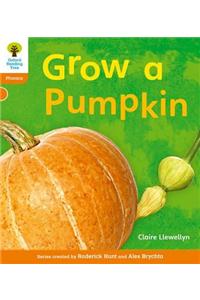 Oxford Reading Tree: Level 6: Floppy's Phonics Non-Fiction: Grow a Pumpkin