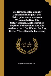 Naturgesetze und ihr Zusammenhang mit den Prinzipien der abstrakten Wissenschaften. Für Naturforscher, Mathematiker, Logiker, Philosophen und alle mathematisch Gebildeten Denker, Dritter Theil, Sechste Lieferung