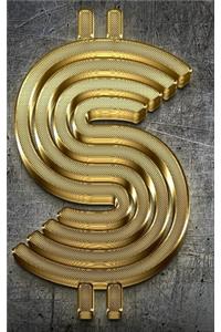 Gold Bling Dollar Sign writing drawing Journal