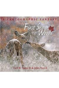 First Snow in the Woods: A Photographic Fantasy