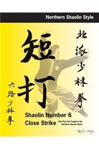 Shaolin #6 Close Strike