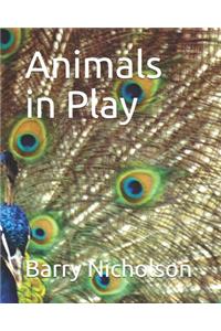 Animals in Play
