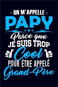 On m'appelle Papy parce que je suis trop Cool pour être appelé Grand-Père