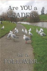 Are You a Leader of a Follower Notebook