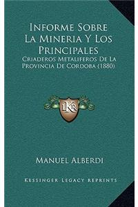 Informe Sobre La Mineria Y Los Principales