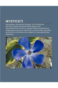 Mysticeti: Balaenidae, Balaenopteridae, Cetotheriidae, Eschrichtiidae, Balaenoptera Musculus, Balaenoptera Physalus, Megaptera No