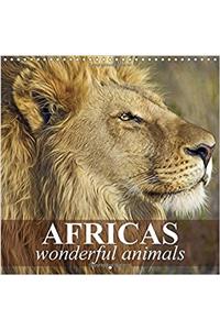 Africas Wonderful Animals 2017