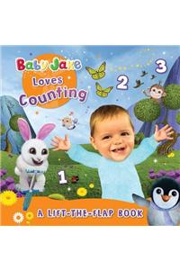 Baby Jake Loves Counting