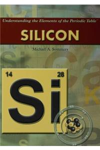 Silicon
