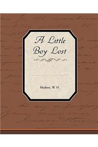 Little Boy Lost