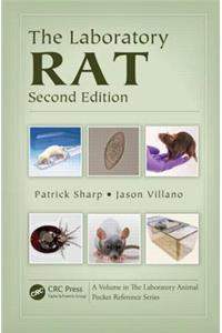 The Laboratory Rat