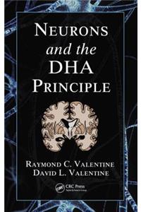 Neurons and the Dha Principle