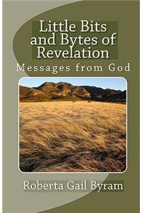 Little Bits and Bytes of Revelation