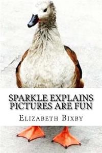 Sparkle Explains Pictures Are Fun