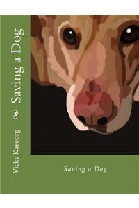 Saving a Dog