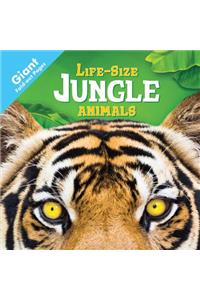 Jungle Animals