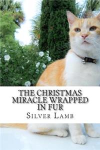 The Christmas Miracle Wrapped in Fur