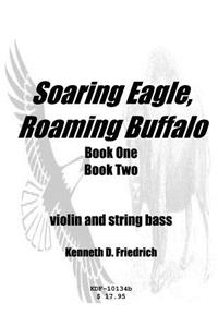 Soaring Eagle, Roaming Buffalo - violin/string bass duet