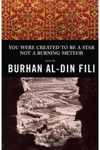 You Were Created to Be a Star Not a Burning Meteor