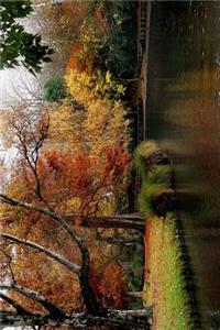 Christchurch Botanic Garden Hagley Park New Zealand Journal