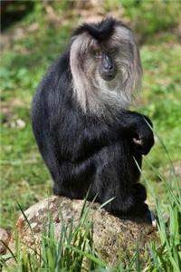 Lion-Tailed Macaque (Macaca Silenus) Aka Wanderoo Journal: 150 Page Lined Notebook/Diary