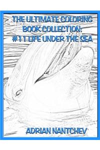 The Ultimate Coloring Book Collection #11 Life Under the Sea