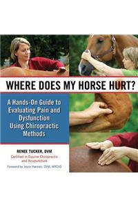 Where Does My Horse Hurt?