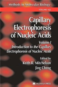 Capillary Electrophoresis of Nucleic Acids