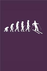 Evolution of Skier