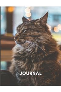 Journal